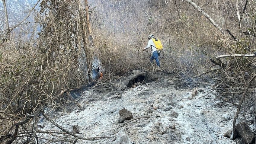 ¿Pirómano, posible causante de incendios en Chiapas? Esto se sabe