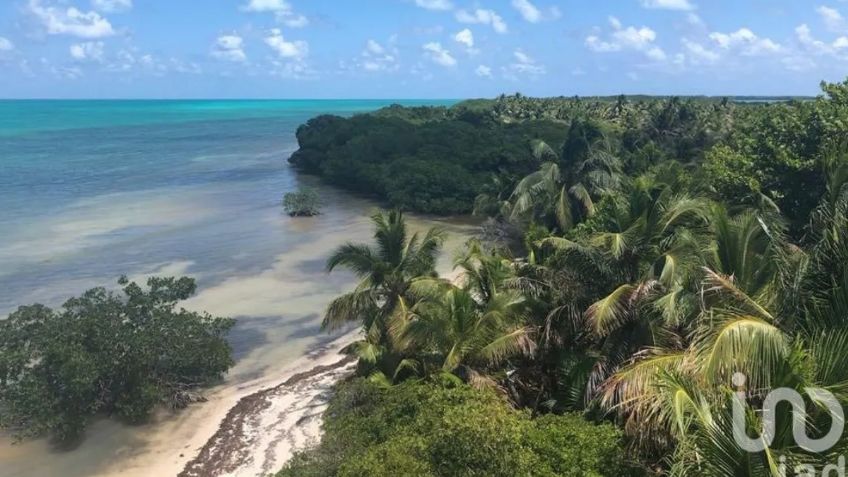 ¿Cuánto cuesta? En venta, Cayo Culebra, última isla virgen de la Riviera Maya | FOTOS