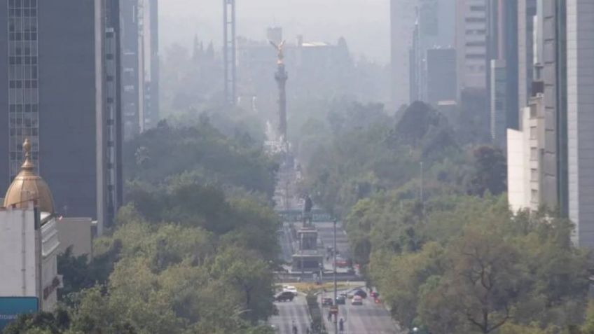 Activan Contingencia Ambiental; estos autos NO CIRCULAN el domingo 19 de mayo