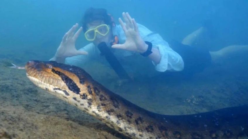 Cazadores matan a la anaconda más grande del mundo, tenía días que científicos la habían descubierto