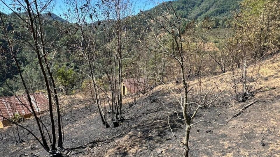 Los siniestros se han presentado principalmente en los municipios de Amealco de Bonfirl, Cadereyta de Montes, Huimilpan, San Joaquín, Jalpan de Serrra y Landa de Matamoros