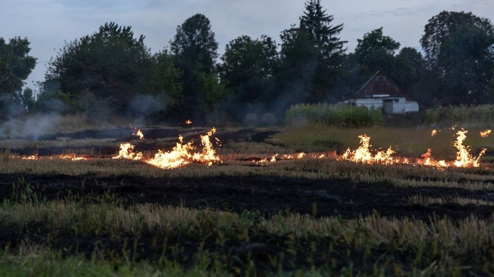 El presidente López Obrador aseguró que autoridades locales y federales trabajan en el control de incendios.