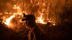 VIDEO | brigadistas hacen oración antes de combatir el fuego en Veracruz: "que Dios cuide sus vidas"