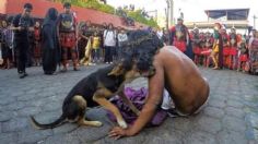 Perro consuela a actor que interpreta a Jesús durante Viacrucis