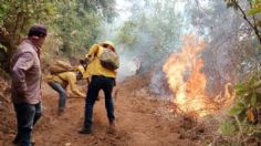 Incendios en Jilotzingo: el fuego  está terminando con uno de los pulmones más importantes del Valle de México