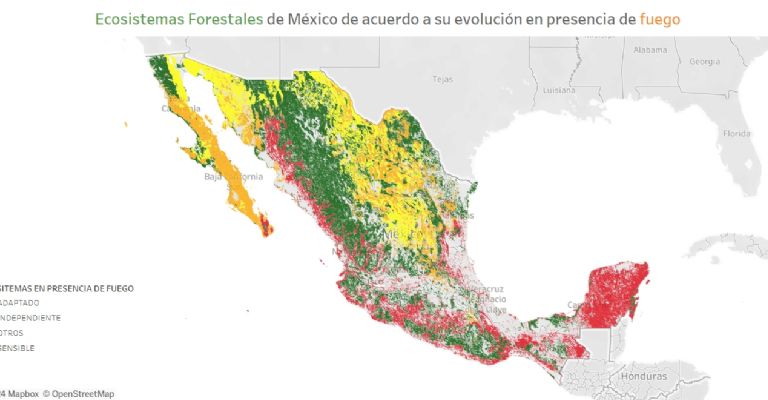 incendios  28 marzo