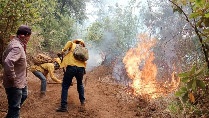 Por incendios, Guerrero suspende clases en Acapulco y Chilpancingo