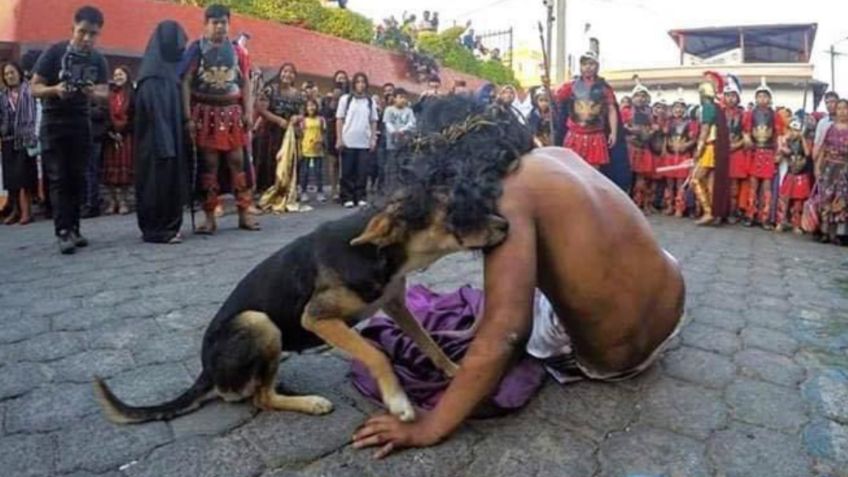 Perro consuela a actor que interpreta a Jesús durante Viacrucis