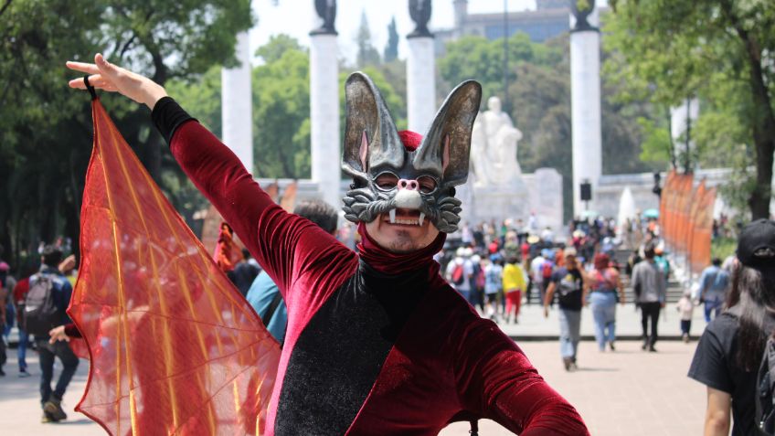 Festival del Bosque 2024: fecha y horarios para disfrutar de un picnic nocturno y conocer murciélagos de cerca