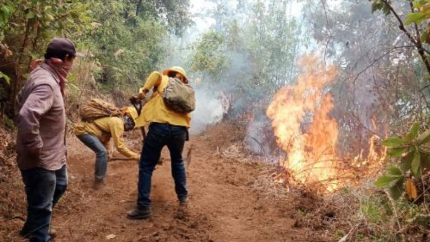 Incendios en Jilotzingo: el fuego  está terminando con uno de los pulmones más importantes del Valle de México