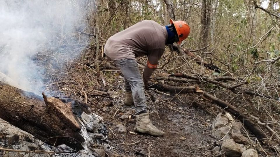 Incendios han sido sofocados y aún faltan varios por atender