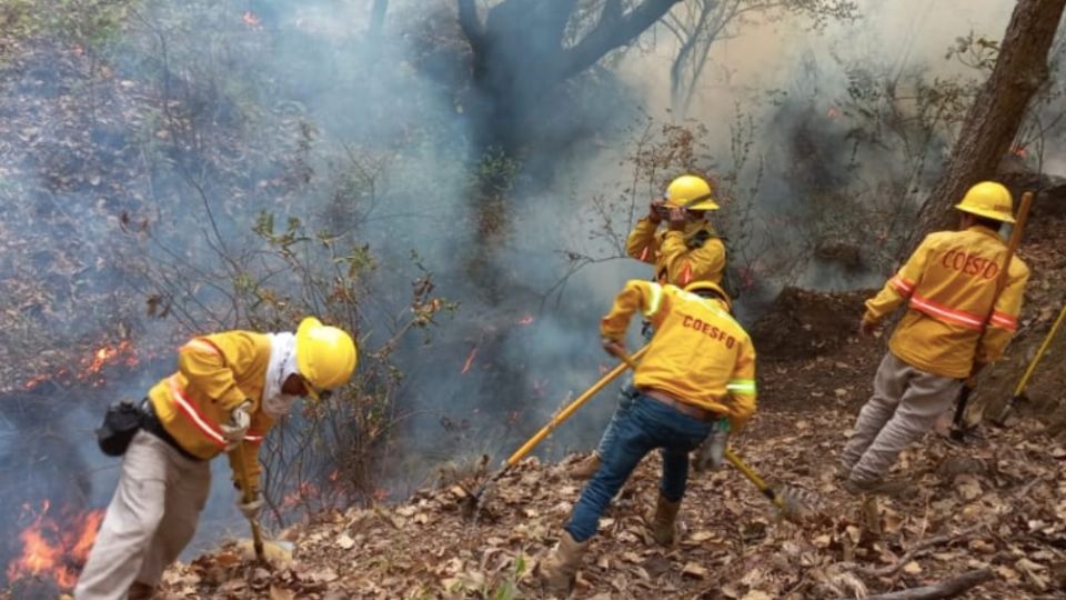 Existen algunos indencios que se originan por labores agricolas