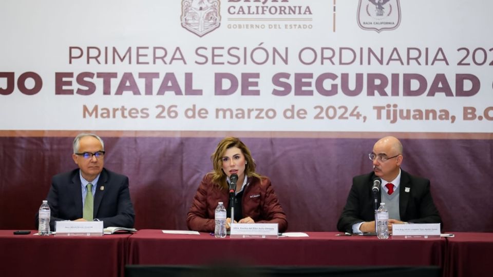 'Nuestro gobierno ha puesto en el centro de sus prioridades la protección a las mujeres, niñas, y niños, y los acuerdos que tomamos para hacer crecer el Sistema Violeta'