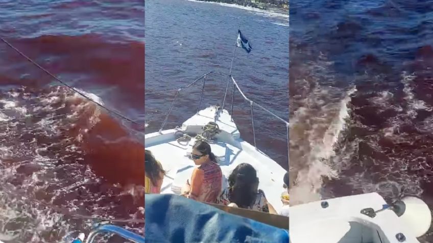 Captan marea roja en las playas de Manzanillo, ¿por qué sucede?