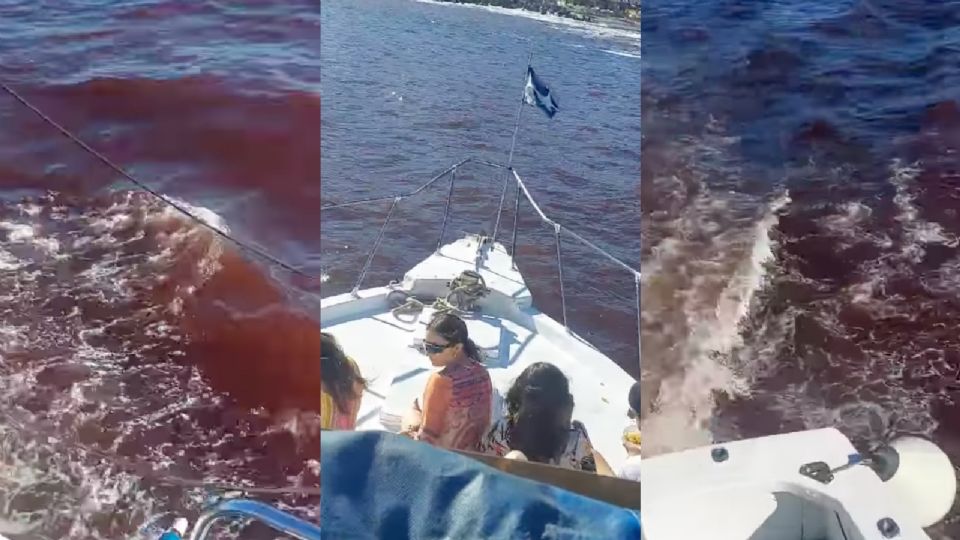 El video fue captado por un capitán mientras navegaban