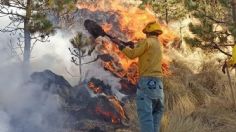 Continúa incendio en faldas del Nevado de Toluca