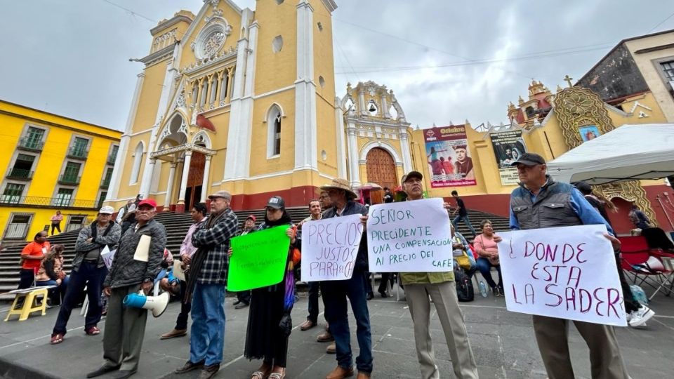 En la entidad jarocha hay diez regiones cafetaleras, de las cuales el potencial más fuerte de producción es Huatusco, Córdoba