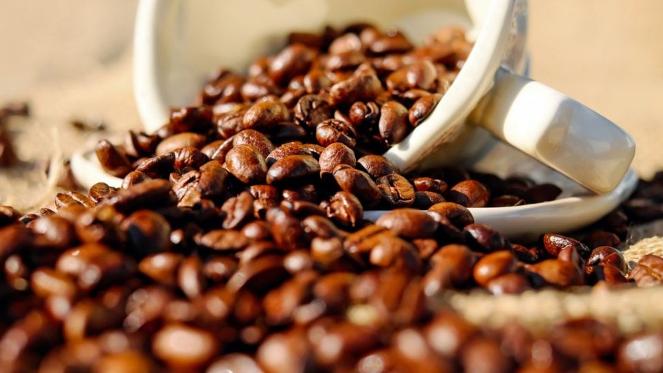 Se estima que el 40% de los productores de café dejaron de cultivar este producto.