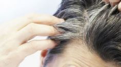 Di adiós al tinte: descubre la opción ideal para cubrir las canas sin dañar el cabello