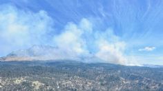 Nevado de Toluca: Incendios forestales comprometen la vegetación endémica de la zona