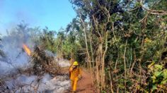 Continúan las labores de sofocación del incendio en el parque nacional El Veladero en Acapulco