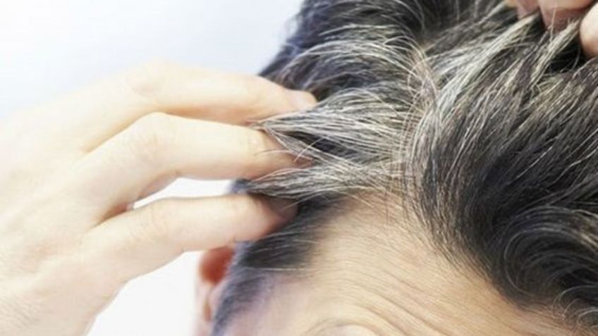 Di adiós al tinte: descubre la opción ideal para cubrir las canas sin dañar el cabello