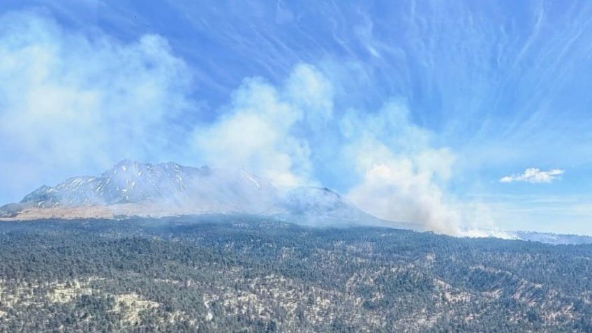 Nevado de Toluca: Incendios forestales comprometen la vegetación endémica de la zona