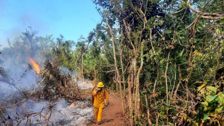 Continúan las labores de sofocación del incendio en el parque nacional El Veladero en Acapulco