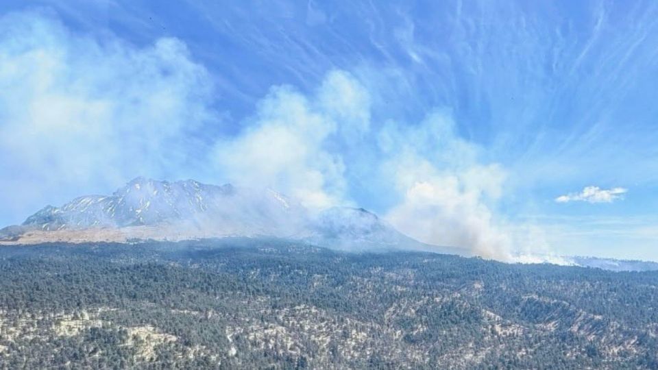 La Conafor todavía no ha revelado cuántas hectáreas de terreno resultaron afectadas por el fuego.