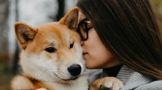 Ritual para cuidar a tu mascota de las malas vibras; recuerda que ellas absorben lo negativo para cuidarte