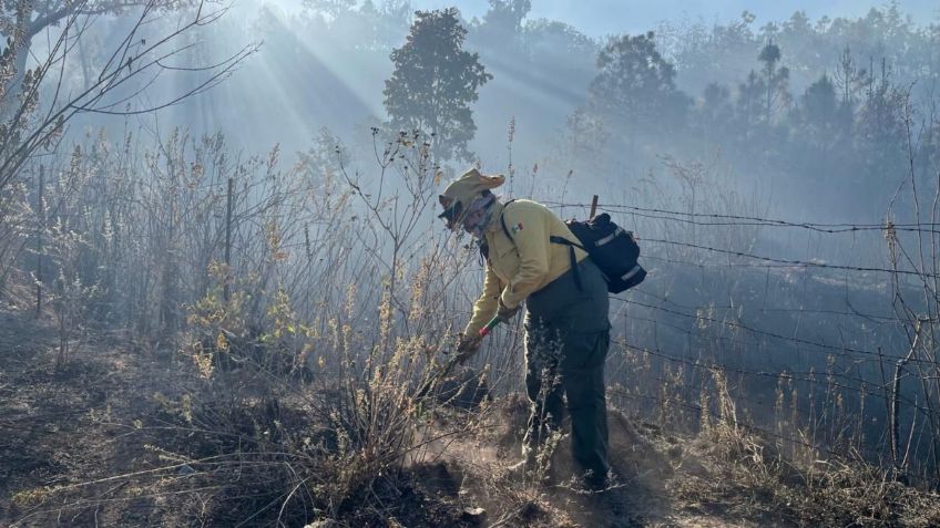 Extinguen incendio forestal en Bosque de La Primavera, Jalisco