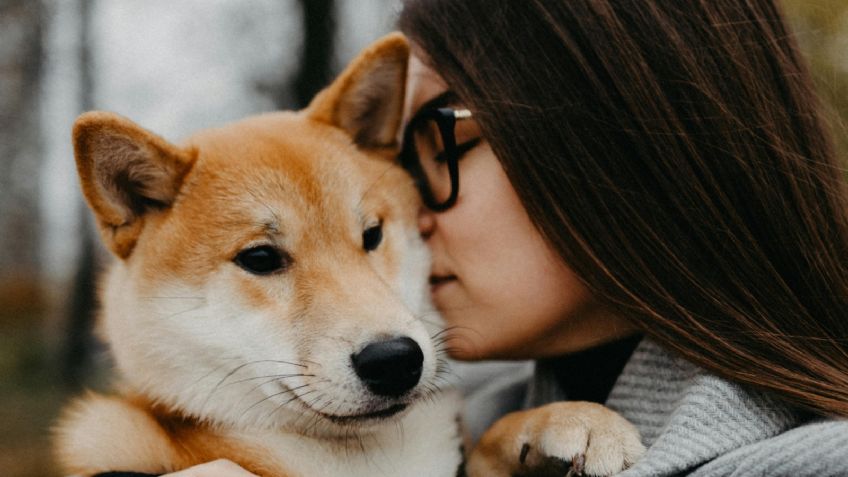 Ritual para cuidar a tu mascota de las malas vibras; recuerda que ellas absorben lo negativo para cuidarte