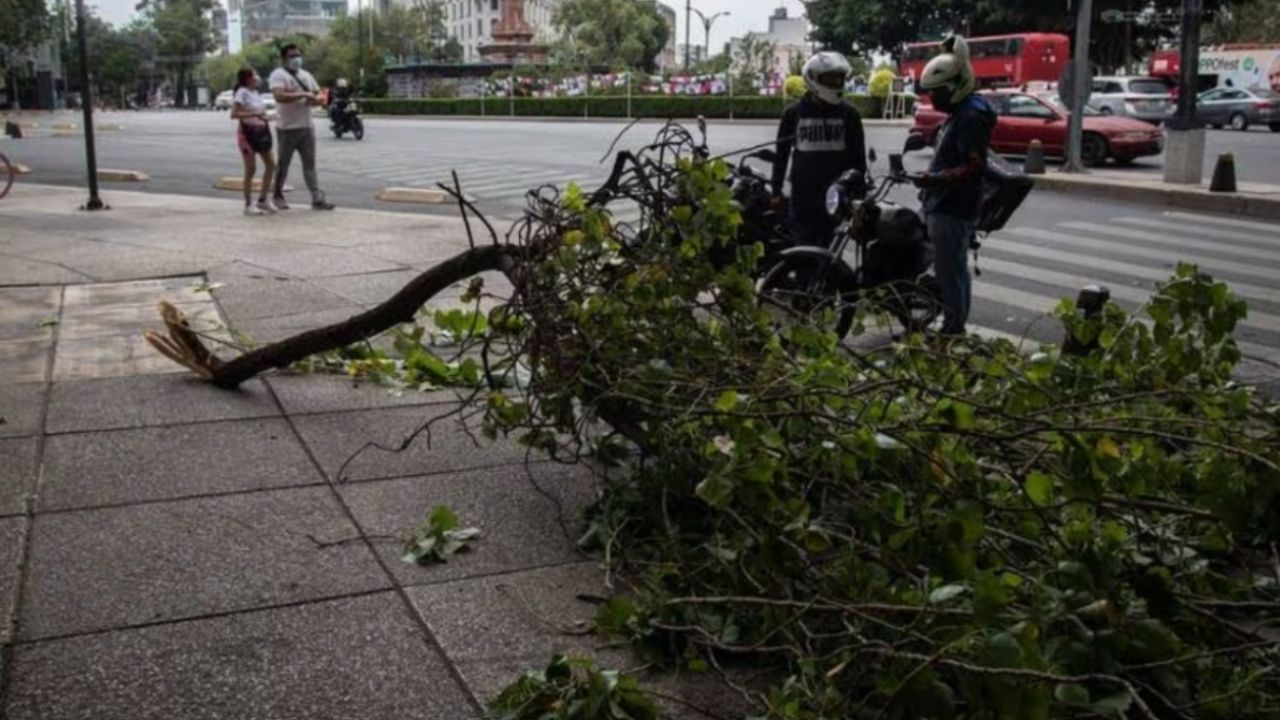 Cdmx Registra 30 Grados Activan Alerta Por Fuertes Vientos La Tarde De