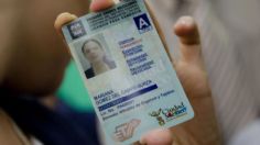 Licencia de conducir permanente y gratis en Marzo; requisitos y para qué estados