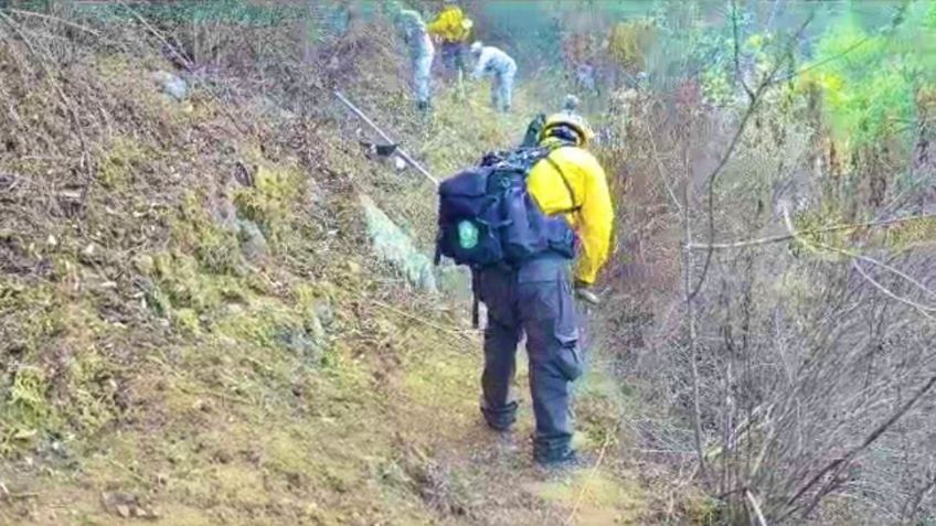 Presunto responsable de incendio en Quiaviní, Oaxaca, podría ser culpado por daños y homicidio culposo