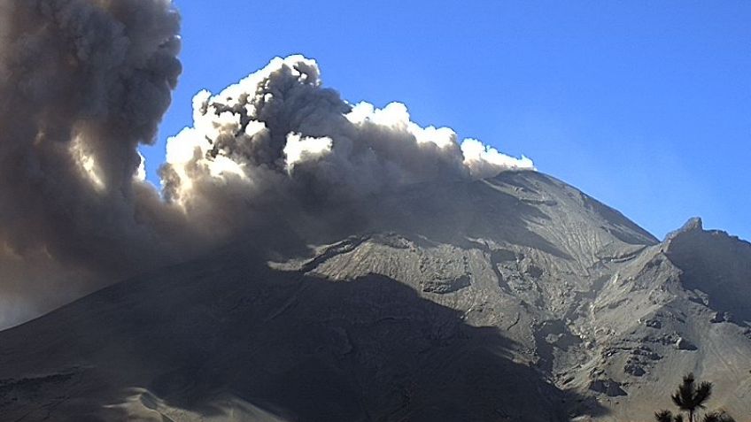 Volcán Popocatépetl: Estos son los municipios que tendrán caída de ceniza hoy 8 de marzo