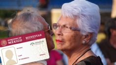 INAPAM: ¿Por qué se suspendió la emisión de tarjetas para adultos mayores y cuándo se reanuda?