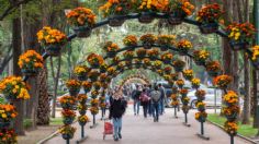 Festival de Flores y Jardines 2024: cuándo y dónde se realizará