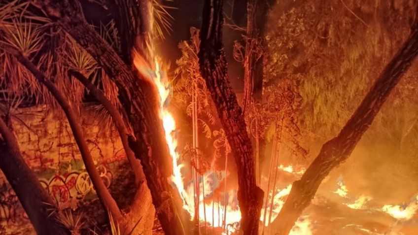 Incendio consume una zona del Parque Lira muy cerca de la colonia Tacubaya