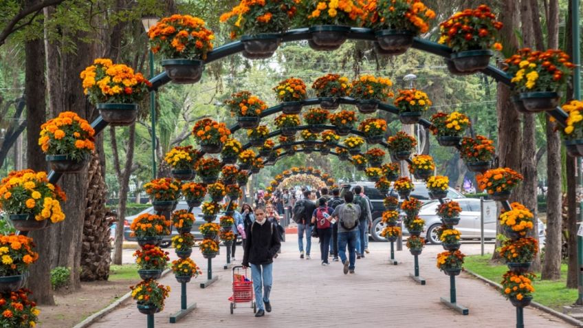 Festival de Flores y Jardines 2024: cuándo y dónde se realizará