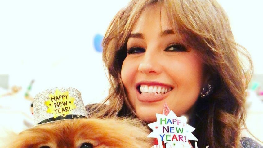 Thalía habría regalado a sus dos perritos enfermos tras 10 años de estar con ella