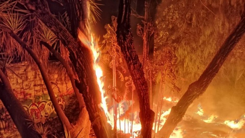 Se reportan que el incendio fue provocado.