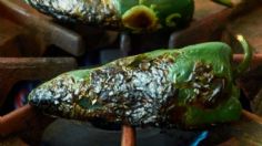 3 consejos de la chef Zahie Téllez para pelar chiles poblanos