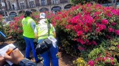 Localizan sin vida cuerpo de un hombre en parque del Bolsillo en el Zócalo