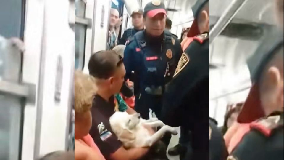 El hombre abrazó a su perrito con fuerza para que no lo sacaran