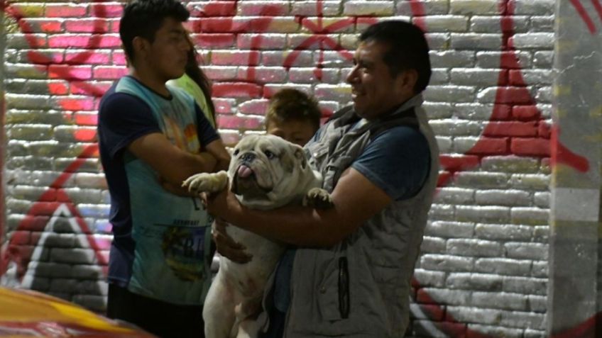 Rescatan a perrito del predio donde se desplomó un helicóptero en Coyoacán