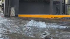 Reportan fuerte fuga de agua en Avenida Coyoacán y Pilares