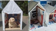 En Perú utilizan propaganda electoral para construir casas para perritos