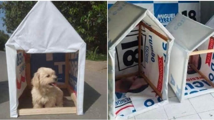 En Perú utilizan propaganda electoral para construir casas para perritos