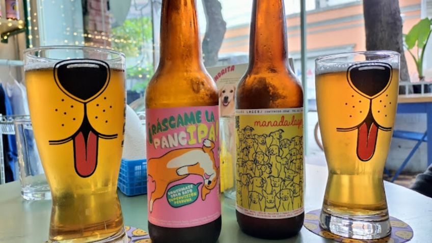 Guau Tap, la famosa cervecería que apoya a perritos callejeros con una parte de tu consumo